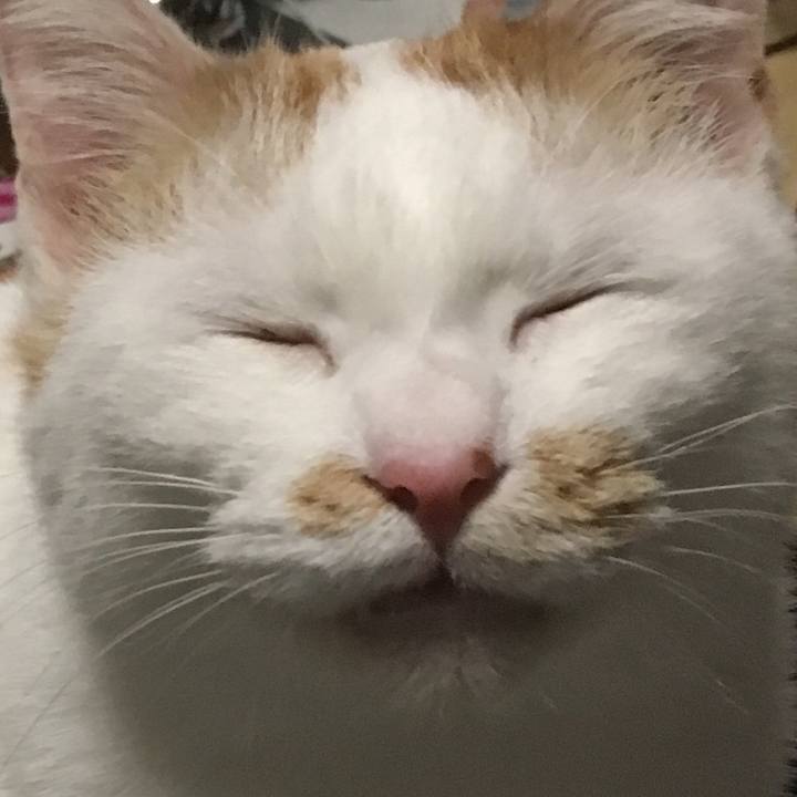 34a76100 33a5 413d b605 3dc742b5b22c 1515329576049