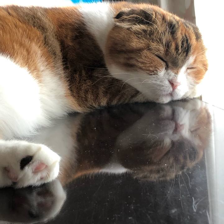 34a78529 bdb9 4789 ace7 aee5691a74d6 1594439997891