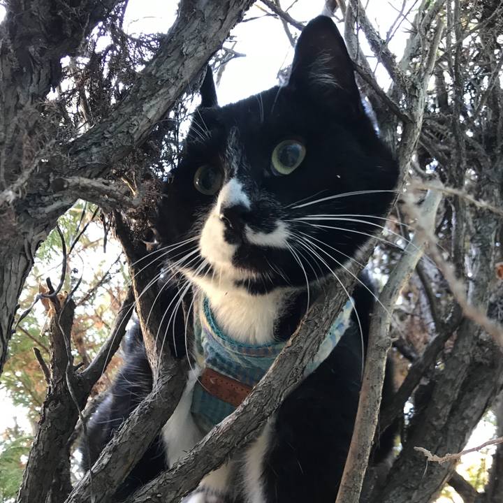 34a790c1 8aea 4eda a5d3 1b308f5e7748 1549597237536