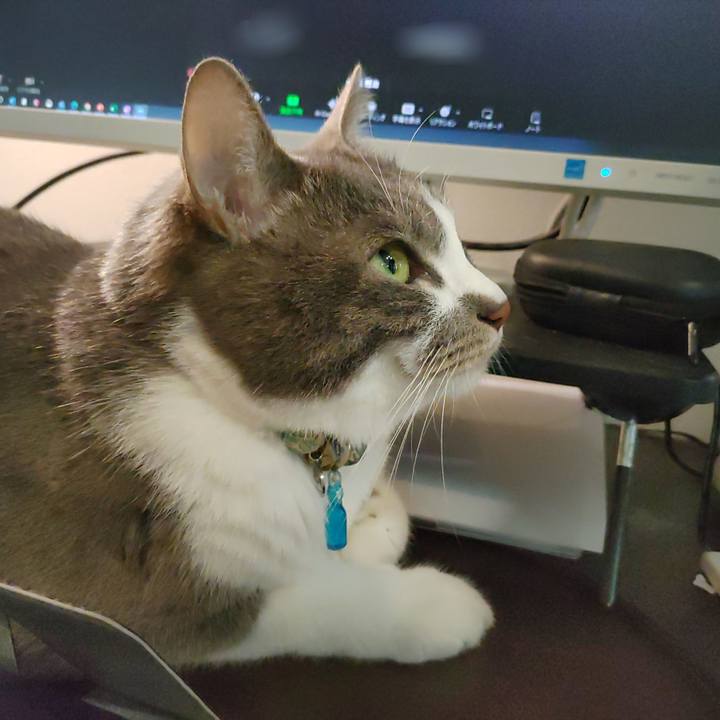 34a7a76e 20e0 478c 9b1e fc4b795f37d6 1713932845057