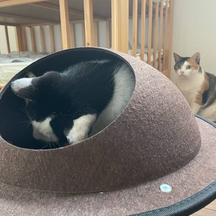 34a7ab63 c06a 4526 91da 6c0a51663d94 1657957983478