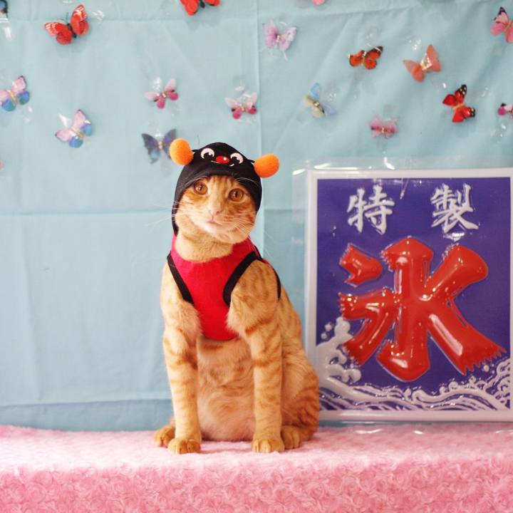 34a7d735 516c 48b5 9d86 a93127a2f7dc 1688886155663