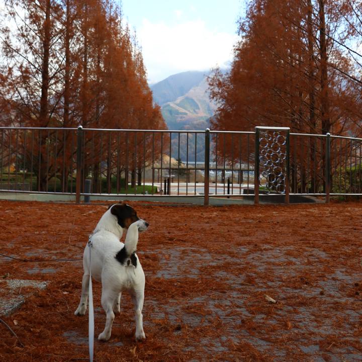 34a7fbcd 6398 4b2c a511 df4f62063a41 1544263826626