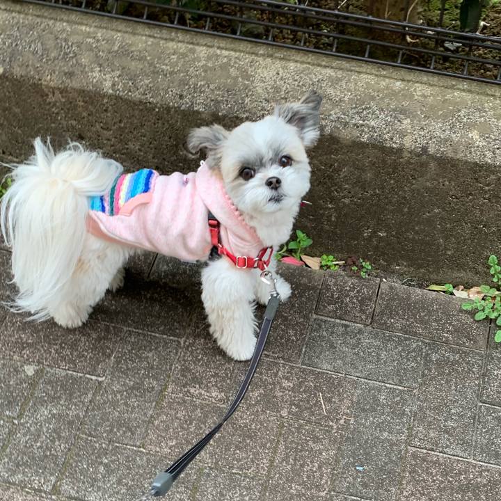 34a826ec c407 4601 8e8f 73fac08a5287 1616117206767