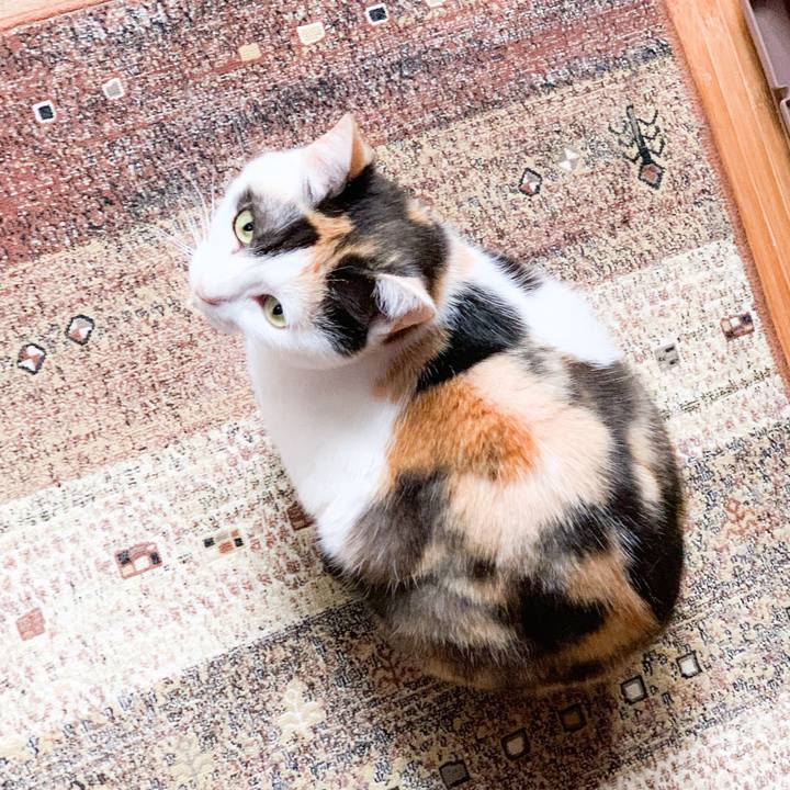 34a8626e e816 4644 94a1 a88a364161f2 1565488337149