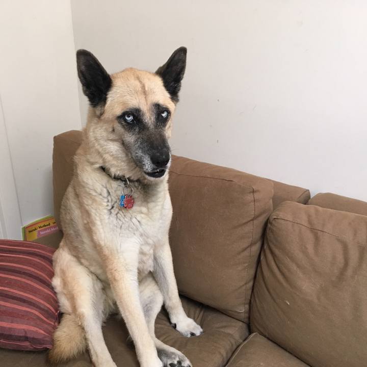 34a87dcc 6613 49ce 9c8b d32e9ec273c3 1531366443977