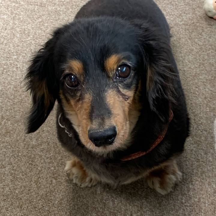 34a885a7 655e 4d11 a090 26dc4e852f0f 1585951970823