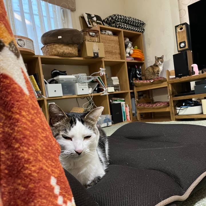 34a957a6 74cf 4ef4 a40e 1bbc908a026b 1707047889825