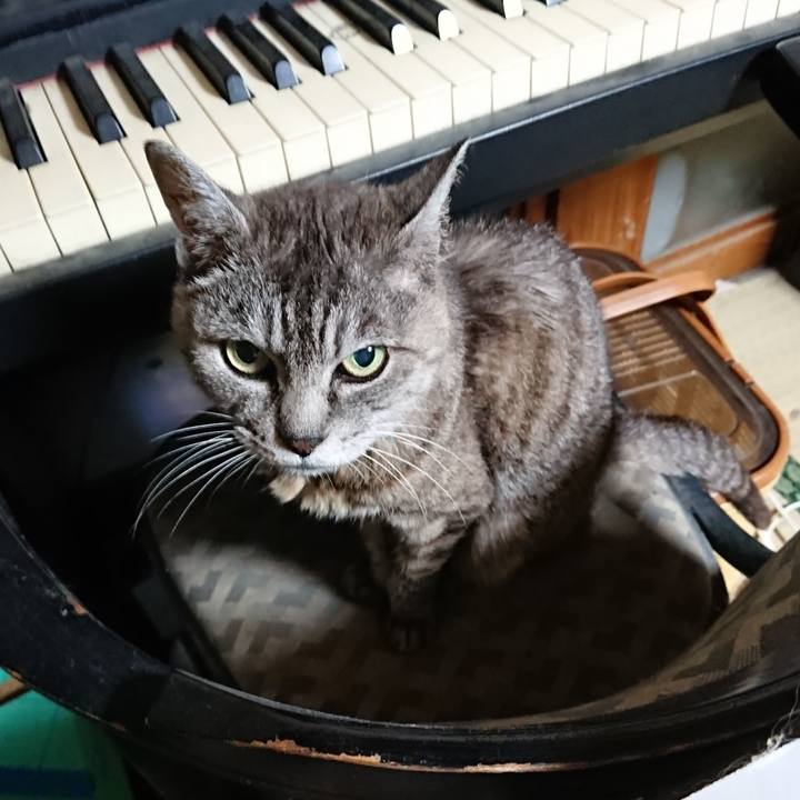 34a9d6e1 807a 45b4 84fb e62c34c716bb 1567194438617