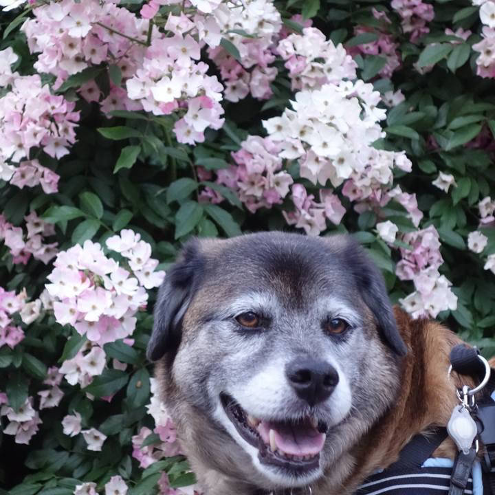 34aa0c9e f067 4d07 8021 8fce92a56ffb 1526899761965