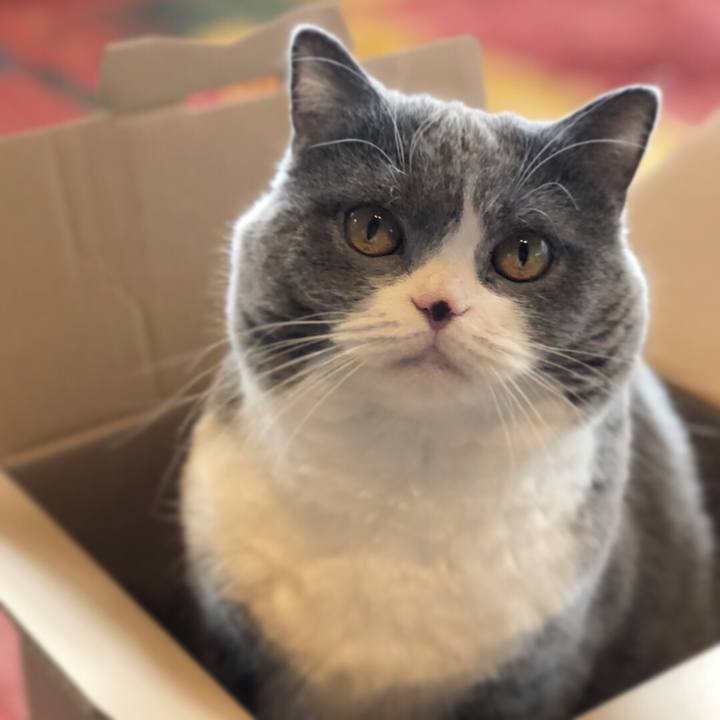 34aa1076 e2f2 4b11 a039 c025ae19e015 1519532741755