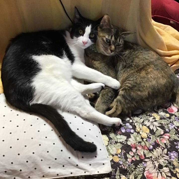 34aa28f2 45a6 44a0 bb3a aca26e23131f 1640417801885