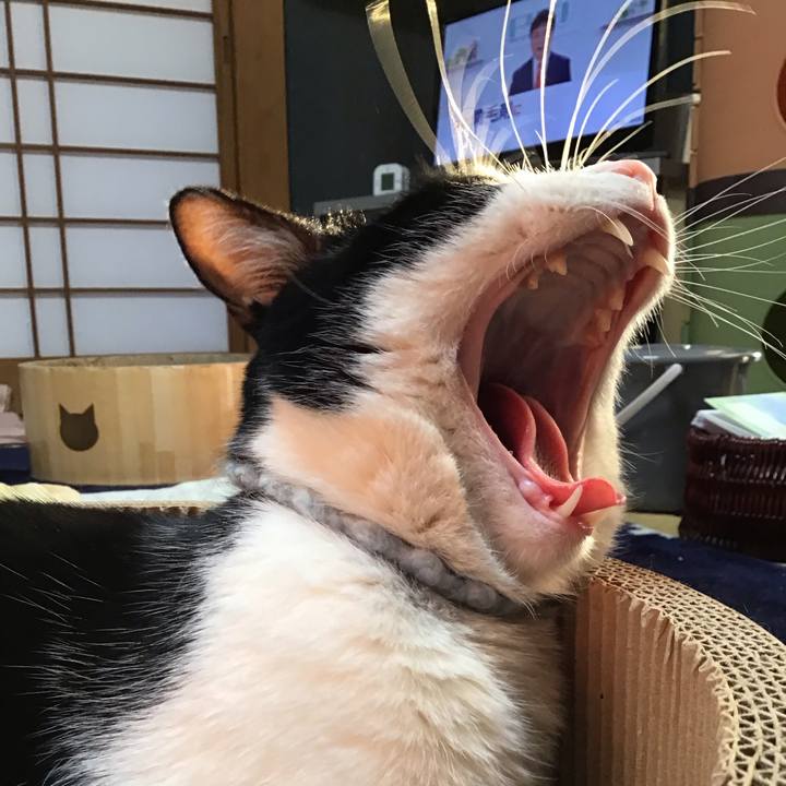 34aa3ab6 5034 4569 9489 b53156b39c7d 1737620832668