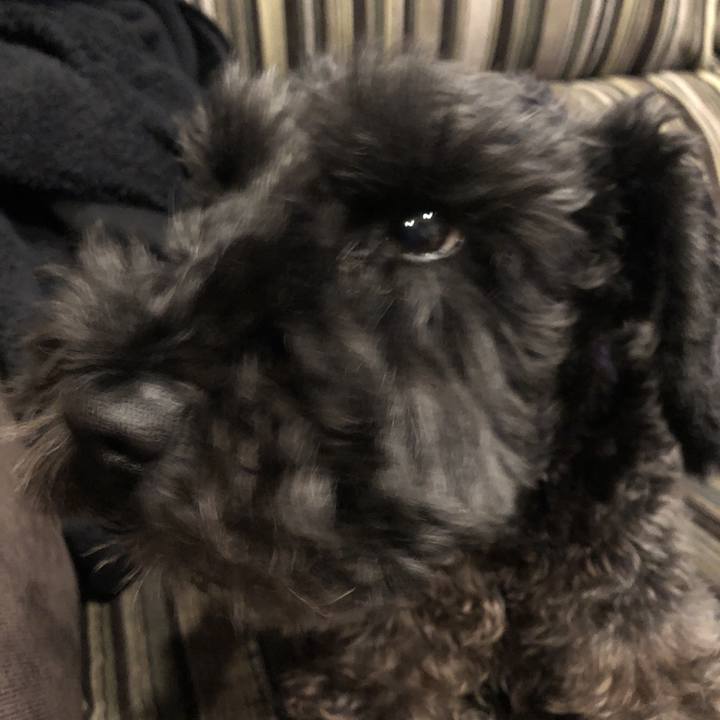 34aa4125 c287 4aa3 87d0 4ea7ac3556ea 1541502697424