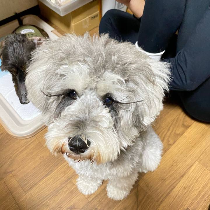 34aa7009 c3a2 45a0 9556 49a89a2f8aed 1609249330959