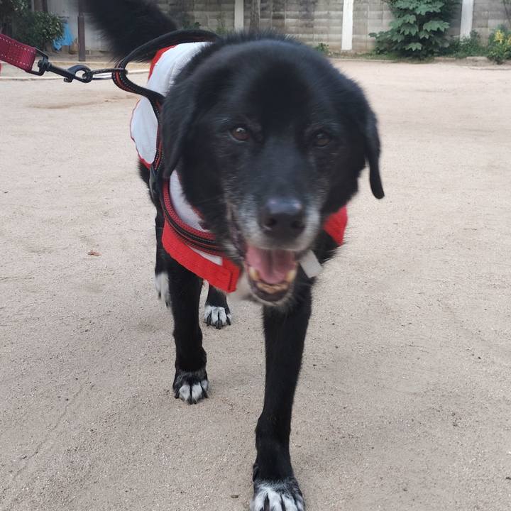 34aaa95b 91bb 4b3e 8af4 8cc6d1e854d3 1758256179122