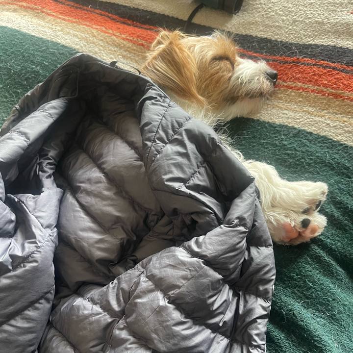 34aad40d a282 4c56 9fb3 ecc1a3e69ed9 1761385809187