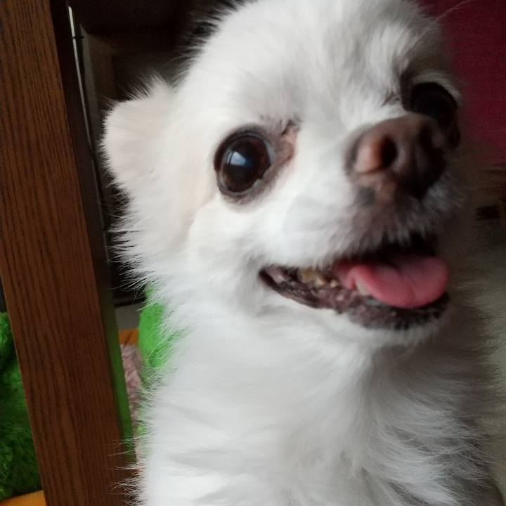 34aadfd1 1844 4f1f a6d5 6efe5125842b 1623097479874