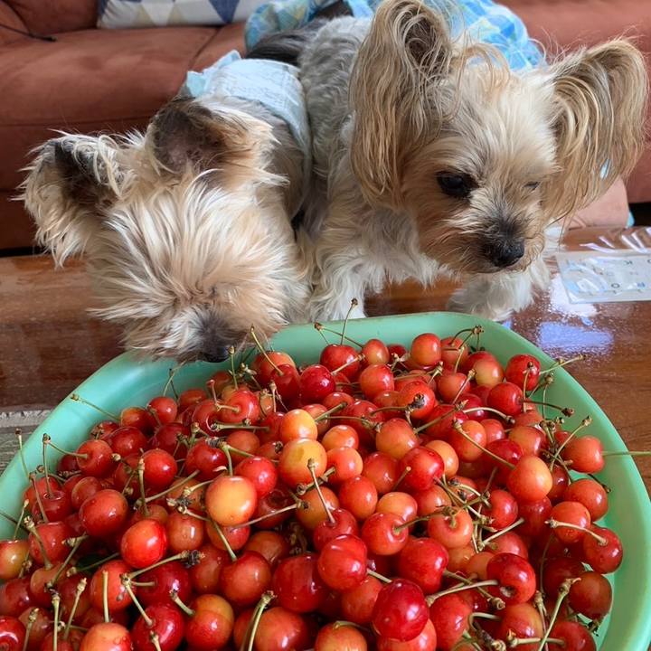 34aaeb4e 6f3f 4e1e 92c0 ce95d8c7075f 1687256556711