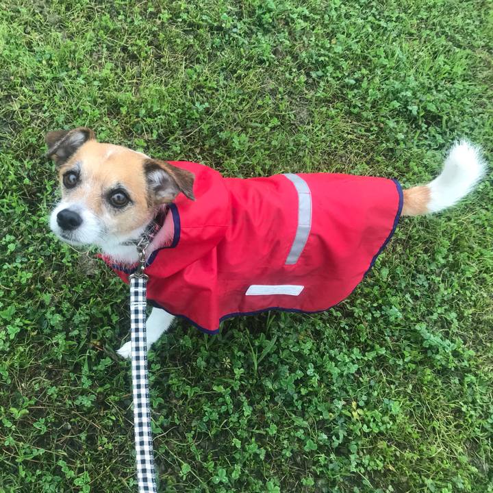 34ab1ccd 9526 4015 a2c4 1c6f1f2cbd6f 1529478270701