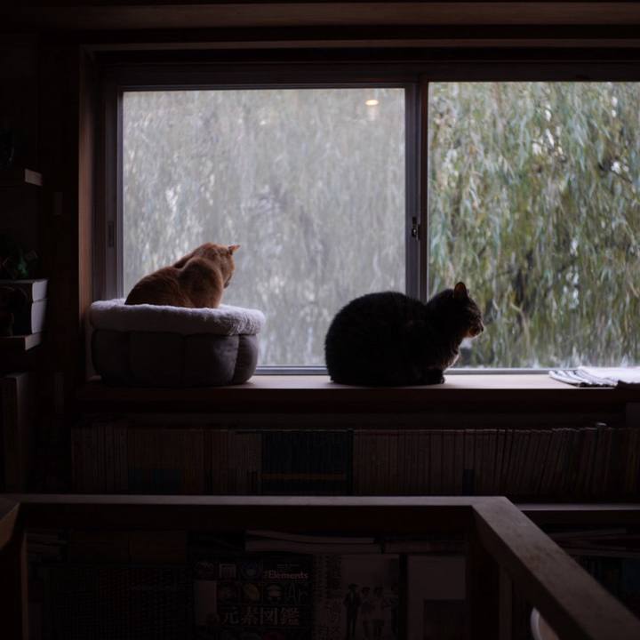 34ab3723 aee1 49e5 b53a 16fbc3e0b9d8 1734390349859