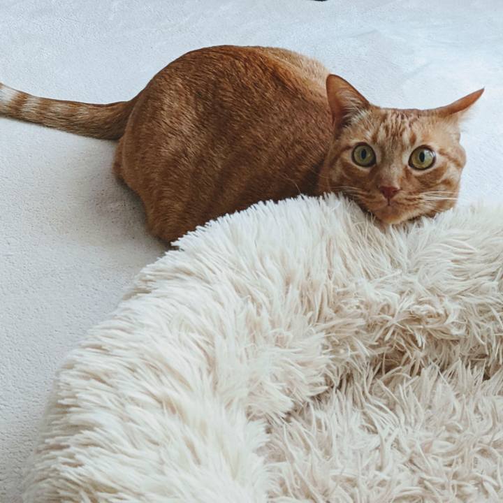 34ab40cc efef 413c afa3 74bf42e5e764 1647042398829