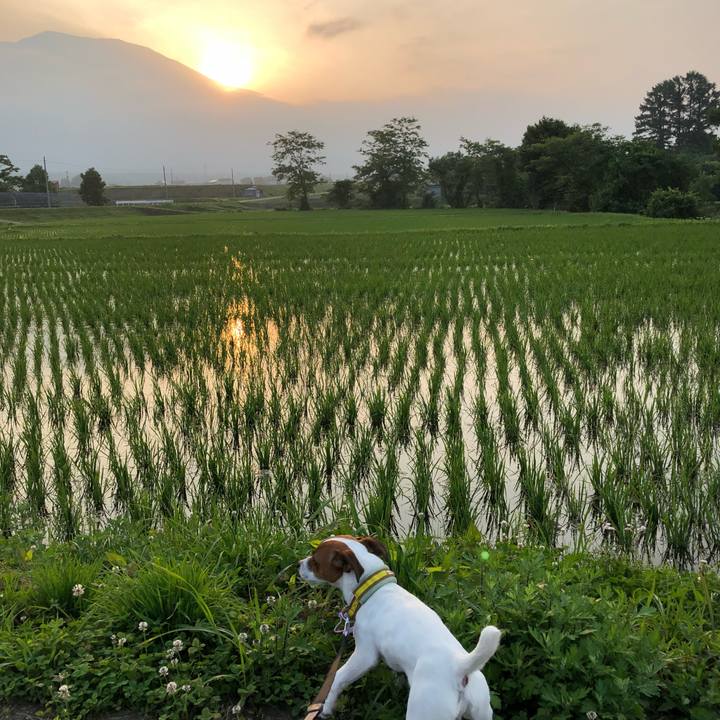 34ab4fc5 86bb 4c10 aa68 d2beff164d18 1529925112703