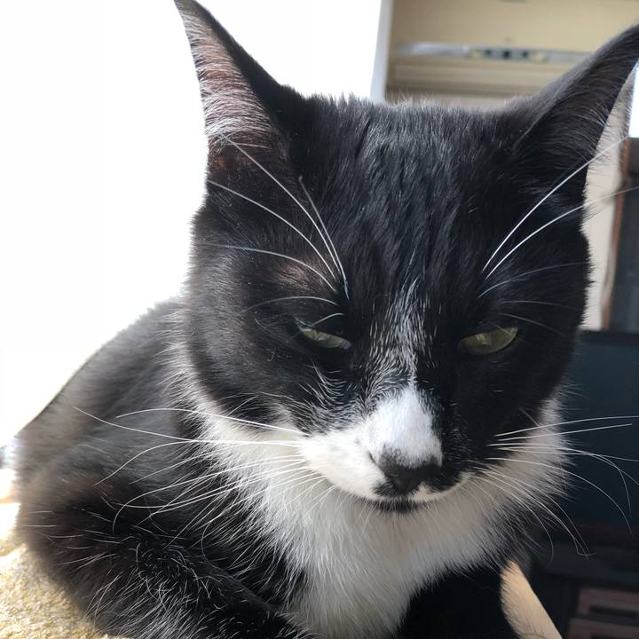 34ab5d5f 8237 4ddf 8024 3bfa3aaac1ec 1527571334819