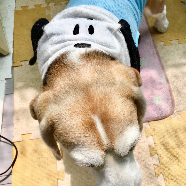 34abbd04 1413 47de ae40 39dc25f56258 1564371502852