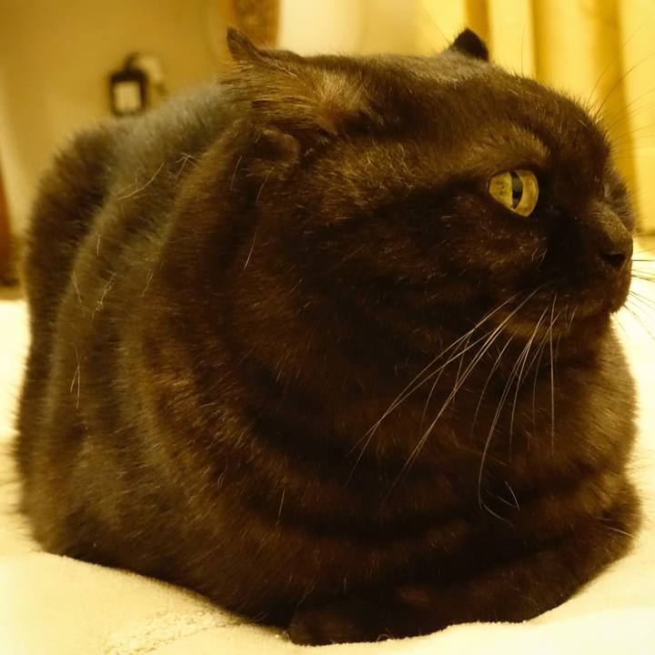 34abc102 ddf4 40ce 93f0 f5bfb8417c52 1508776928218