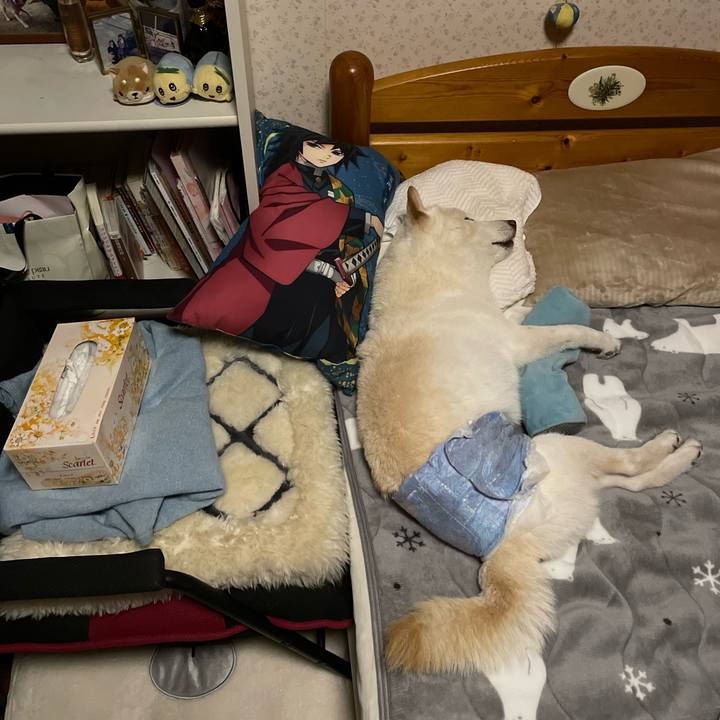 34abe1a1 790b 4a06 a225 44d43c1d4066 1647011192774