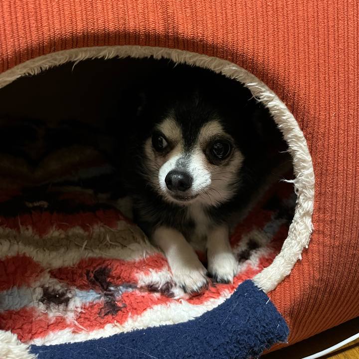 34ac1e0c 191d 4309 a38e 008544a9a1f1 1707876008241