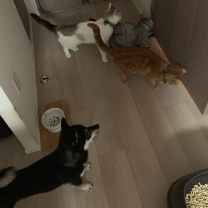 34ac2a6e a087 4540 b1e3 d4125fd7f4df 1566206081899