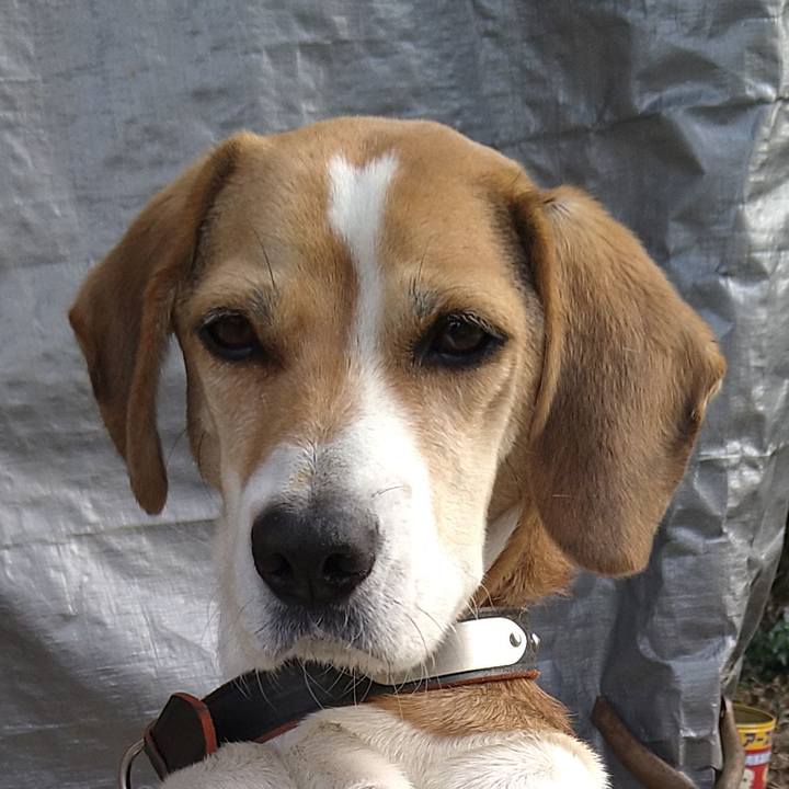 34ac37ae 6243 483d bc3b 0fc3433cfb7f 1642769506122