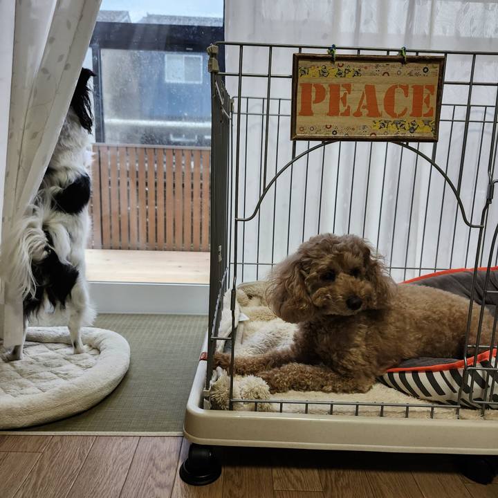 34ac3eba 18ec 406e 9a0c e25c60a002db 1764112708051