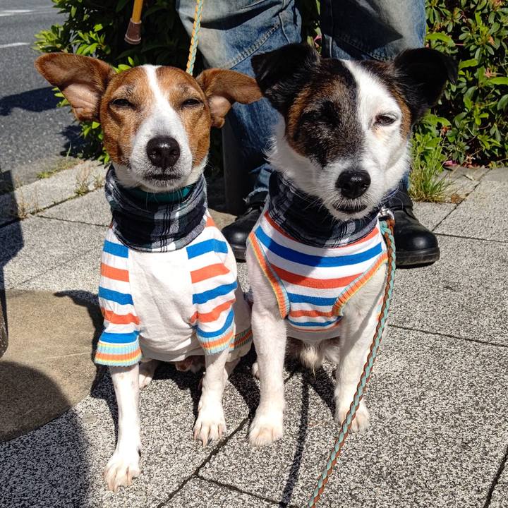 34ac4184 333a 422c 8596 bedd81a21c87 1715727773033