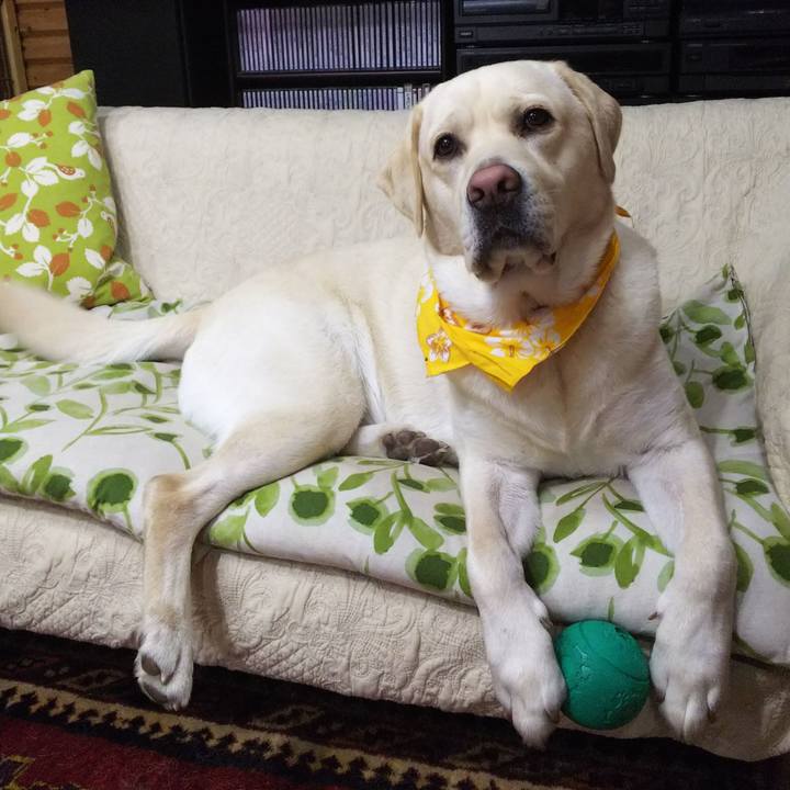 34ac6dbb 538b 44a6 ba9e 96b236a28c39 1541723331461