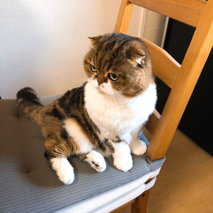 34ac71fb 175c 456c 87a4 545f9cbac9ee 1547535009560