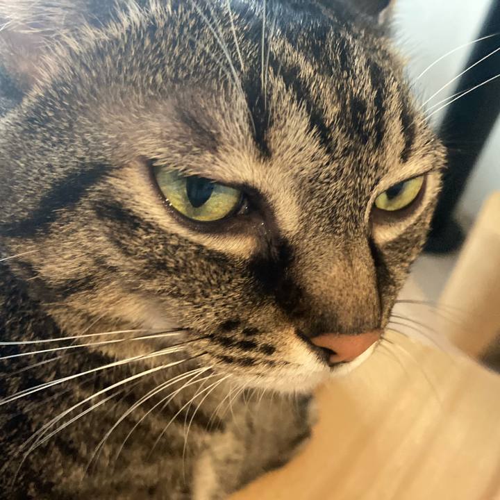 34ac8165 e2e7 44f2 8ba6 9cdd8af0f517 1729828652504