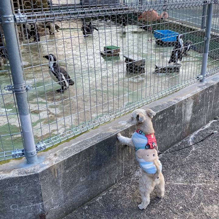 34aca485 2c1d 400e 8abf ca1249d8f2d6 1740437689525