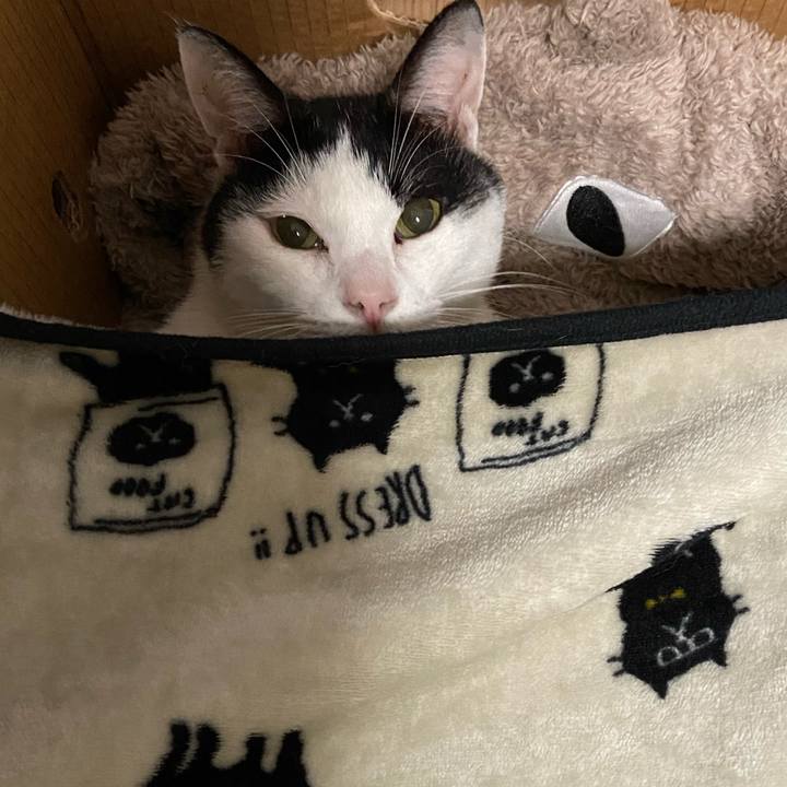 34acaec3 0adb 414b 9e23 4992231046b2 1603109721361