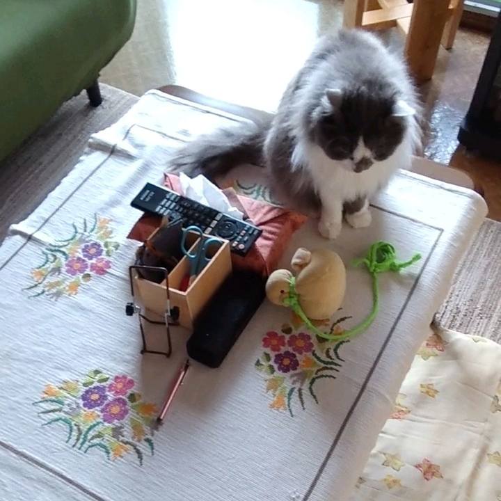 34acee59 2b49 43a8 b5a8 6853cb8f7e5f 1684369610992