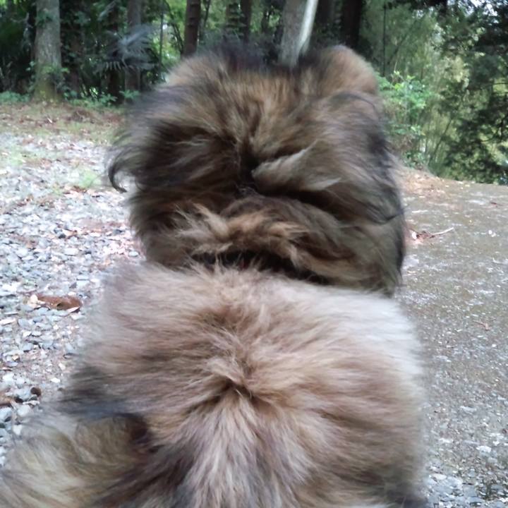 34acef9f 8120 4bbf 9916 58385d3bf1af 1573981940233