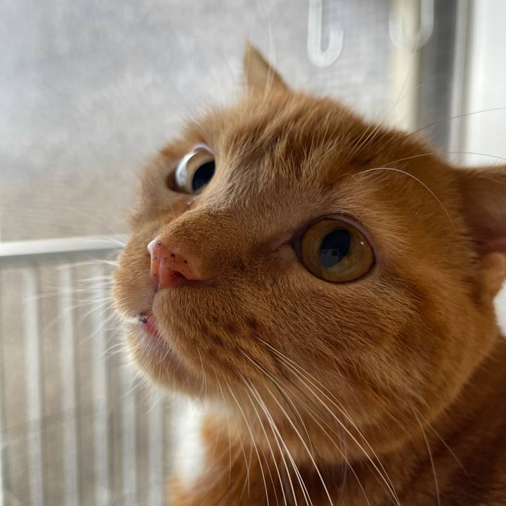 34acf842 862f 4437 89b2 5cd1907d1da2 1640498772630