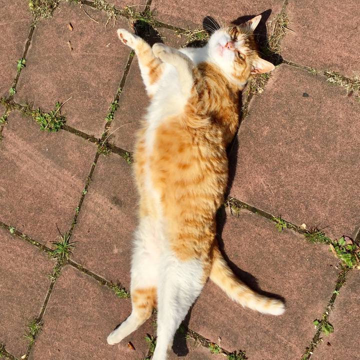 34ad62a2 035f 48f7 8be5 e0f9e1e02a3d 1555659863475