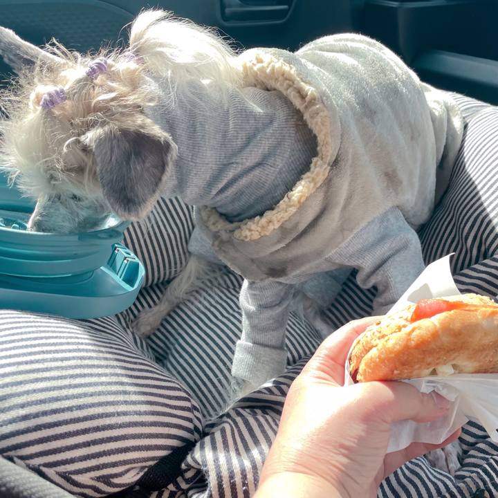 34ad8752 b34a 4bdd aa6f af0397d8172e 1771919320360