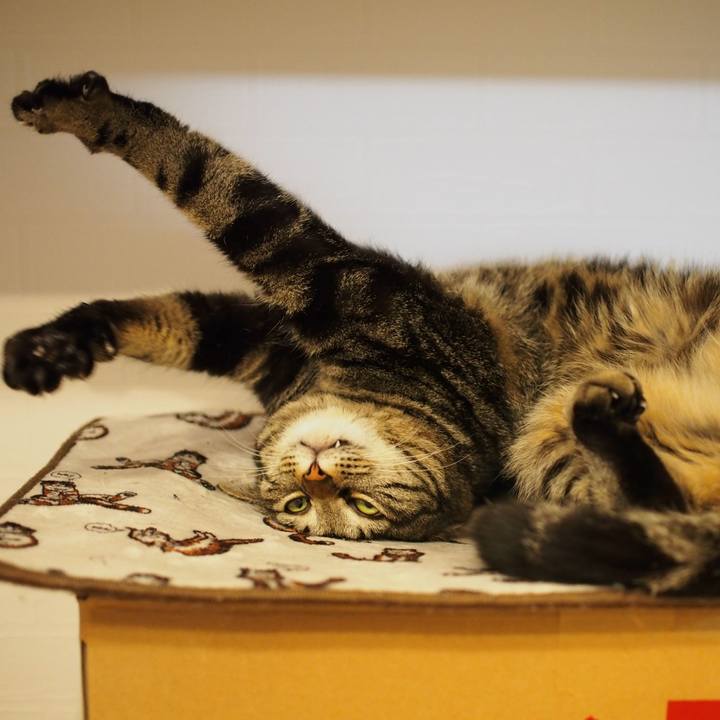 34ad8d66 5651 4abb 8c1c ab2aad6196c5 1586783739633