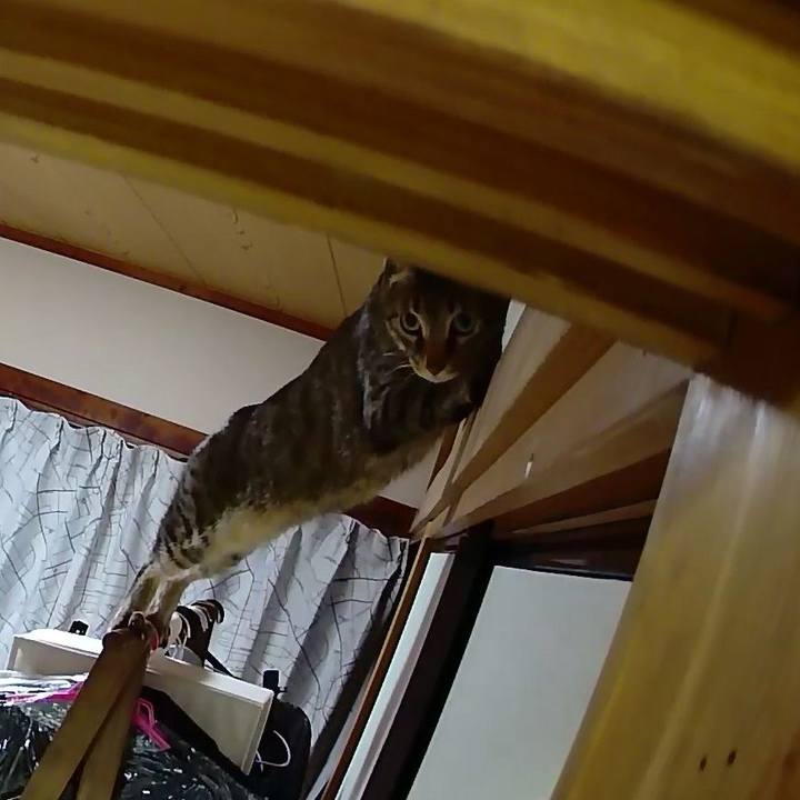 34ada1f5 a13e 489e 81ca a107bdb45b60 1520421504064