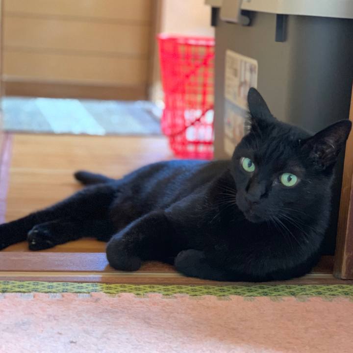 34adb01e 569d 41d4 a02b 5194808ebf32 1561680969081