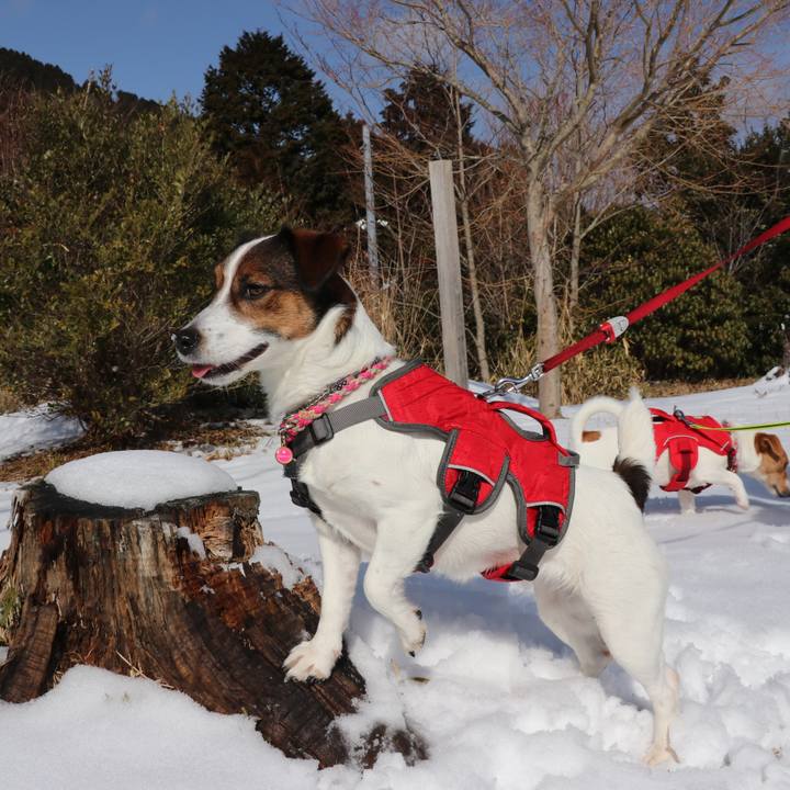 34adbb66 5550 46ef 860b 9a8eea55e838 1517634268222